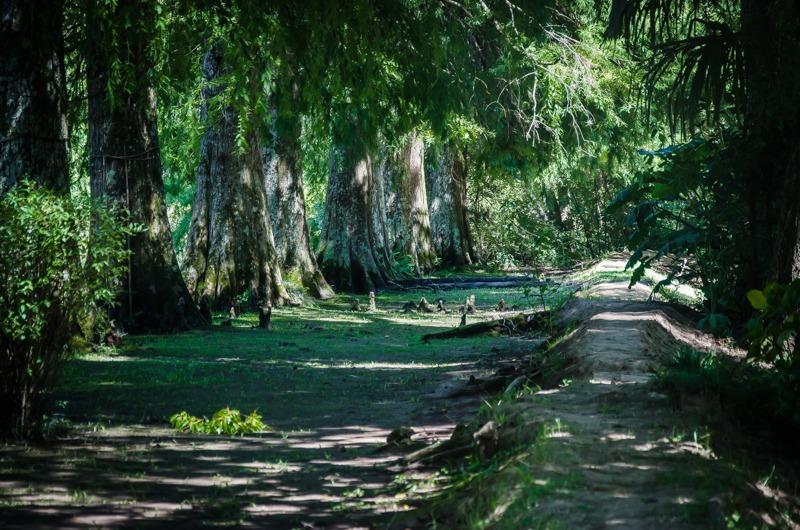 Vila Casa Del Bosque Tigre Exteriér fotografie